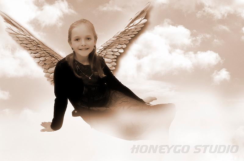 hgo_studio_180.jpg - Honeygo Studio '06(410) 335-4816 (C)